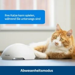 PetSafe Automatisches Katzenspielzeug Fox Den -Katzenartikel 436796eddc653fbc5ba6c19e00138d58f340ef52 1351524 de DE 2c07966cfa5d20e79e732d930dea56115af33e3axxjuix