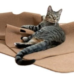 Canadian Cat Company Spielteppich Für Katzen Braun -Katzenartikel 446d45749f5e58cb5a7dbc00eb3558dbe40784fe 1394213 de DE 80770b9625226d955903498b97e7018485822aeeDB3L2u