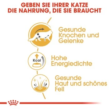 ROYAL CANIN Maine Coon 12x85g 7 ROYAL CANIN Maine Coon 12x85g – Bild 5