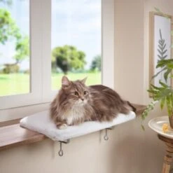 AniOne Fensterliegeplatz -Katzenartikel 48b4c875f72788d493de559eab0e5688d72d5fb7 b558c550dc7f6e4c2f13fbb0d43c30b225535e90