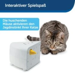 PetSafe Automatisches Katzenspielzeug Cheese -Katzenartikel 4bf213762b84458348ad4dde222bccd0d8e6f0a8 1418723 de DE 66b781419c3a9a05dbaecf1b142c67f8ea6f21fbRLCfdd