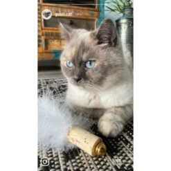 Kater Kasimir Deluxe Set Mit 9 Beliebten Katzenspielzeugen Aus Naturmaterial Und Handgemachtem CATDAD Armband 13 Kater Kasimir Deluxe Set Mit 9 Beliebten Katzenspielzeugen Aus Naturmaterial Und Handgemachtem CATDAD Armband -Katzenartikel 4d777484de5457a02028f595b53fdb1b69e309d7 1408151 de DE 911e17a5e45692f3789ac8bc9aee946048898d74SkrQo3