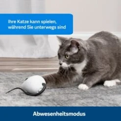 PetSafe Automatisches Katzenspielzeug RoloRat -Katzenartikel 4e48313abe110e77b48862456b3054c8cbc622dd 1351522 de DE cc35ab35cec54291341f643ff079f60e72f56895BvuHXl
