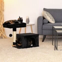 Lionto Kratzbaum 50 Cm Schwarz -Katzenartikel 4f6b493d945c7ea9372c95be20a63045226873e1 1657017 de DE 00f0130c5d94cc47a7b7d64f9006a0669bb47b78zvlIy2