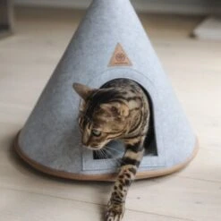 Canadian Cat Company Katzenzelt Cone -Katzenartikel 5109d27ef761061b6b743871ab0498da3478f504 1394210 de DE f112ffaf078c6f8bf03764511a0d90aab2c21021HdDAgd