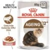 ROYAL CANIN Ageing +12 12x85g In Soße -Katzenartikel 51c74d03fbb260850c5464d8ce114a56be701dda 361ba1d241f5a8ddc581c1d78c31364575b4d345