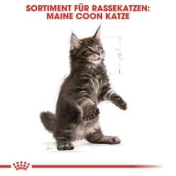 ROYAL CANIN Maine Coon Kitten 4 Kg -Katzenartikel 5363adbcd5720069c9dee834c28d247ed6c58d7d 78d41fa69f58c3708158103686f8d71d73464eed