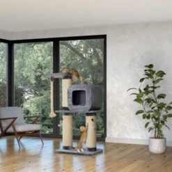 MORE FOR Kratzbaum Archie -Katzenartikel 56db09ab61b1fdca36a2c914e5709f5d0c468baa fd8b8c34a366a95d4f68cd44e7b722744a6cd25e