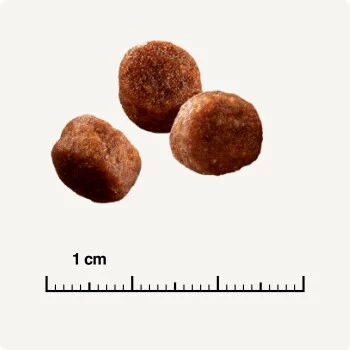 SELECT GOLD Sensitive Digestion Adult Geflügel Und Reis 2,5 Kg 7 SELECT GOLD Sensitive Digestion Adult Geflügel Und Reis 2,5 Kg – Bild 5