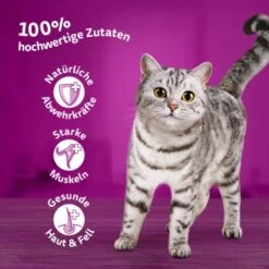 Whiskas Mega Pack 1+ Klassische Auswahl In Sauce 40 X 85g -Katzenartikel 577d6a35462bd69442d57b06ef0f51e82f851a3a 1410718 de DE Whiskas2 1