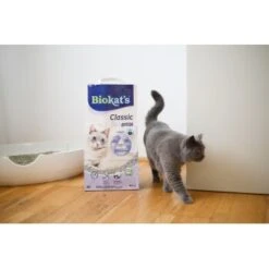 Biokat's Classic 3in1 Extra 14 L -Katzenartikel 5d52880c5f6cb6a968c367a4df6d22f3606a92d3 1422137 4