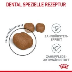 ROYAL CANIN Dental Care 3,5 Kg 18 ROYAL CANIN Dental Care 3,5 Kg -Katzenartikel 5fb2afd9953b01669eac47bd89d44929db4d1f18 1003121009 de DE rc 6