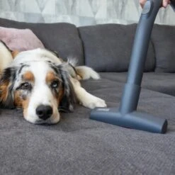 THOMAS Perfect Air Animal Pure 15 THOMAS Perfect Air Animal Pure -Katzenartikel 603137fb8b3080096fe34bb0ce0b35713a0081ec 1406731 de DE 61ffd08a4c243aaa506c87a5b11107f7ffeaf308tEO6cw