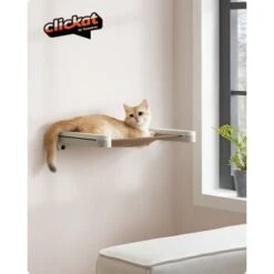 FEANDREA Clickat Katzenmöbel 3er Set, Für Die Wand -Katzenartikel 60f69f4a642f0d59e84f4714b442d728b55f724b 1681459 de DE a39910e1400039cebe0247b4991dedcb1a62d9ddWMEogu