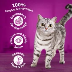 Whiskas Beutel 1+ Mit Rind 3,8kg -Katzenartikel 6144dfcdb48b66478591b089b2af7e6f56c36a92 1226411 de DE 05900951258g770 C1L1 s01 v01 3 1