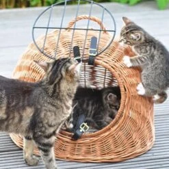 Aumüller Rattanhöhle Gesottene Weide -Katzenartikel 644da56b8da52f185185b101fb3460690748ee17 ed38553d0e52453b951e62f08b371eb8a64cf3ed