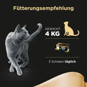 Sheba Selection In Sauce 32x85g 8 Sheba Selection In Sauce 32x85g – Bild 6