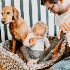 THOMAS AQUA+ Pet & Family Parquet Pro -Katzenartikel 6a06a607313dbd894623286e7a98c7773a1034a3 1406735 de DE 19e0df3761ba1c9d0c13778d17fc55d12b702950RpbbLZ