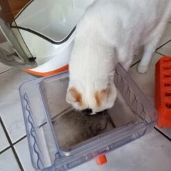 THOMAS Staubsauger -Katzenartikel 6a70c632a0bab42059bec4b43d139a5d2e40f9ae 1406733 de DE e7e44b3ec14bf6f4d989c5887e4e07bdd5895c48xakBwm