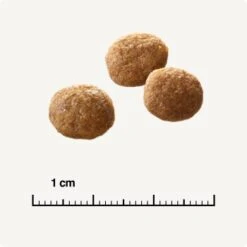 SELECT GOLD +12 Senior Geflügel & Reis 2,5 Kg -Katzenartikel 6db53d99e99530132bf34d8482d69f423780c004 1081823016 de DE 6 1