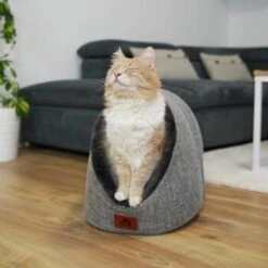 Schlitzohr Katzenhöhle Oskar Grau -Katzenartikel 6dc322d0c0c691311c750126461acbb0bfd7f106 1484676 de DE cf48f7f4d140da3e59fb3189e3029debd29d4937tKSJNT