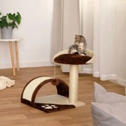 Lionto Kratzbaum Höhe 43 Cm Braun/ Beige -Katzenartikel 731e3c33fcb667d66ff727bb63814b5ce888c519 1651773 de DE 0ba297da15fdf41ea5a8788c803a11c8eef1c103muQtWx