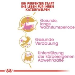 ROYAL CANIN Maine Coon Kitten 4 Kg -Katzenartikel 762fe3d95c521f1c9aed31bc11ea5f813cb64625 48abad1c00ba32352c5f4e40b8a5a9d5e4dec65f