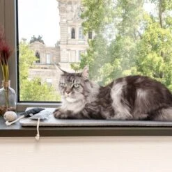 Canadian Cat Company Filzmatte Für Fensterbank Hellgrau S 11 Canadian Cat Company Filzmatte Für Fensterbank Hellgrau S -Katzenartikel 7885f06a61233bc404e6a3aa7f8cd882fde8d497 1498575 de DE 613cf8659fcca6edb1e226239a406f420c510b04Tro7m3