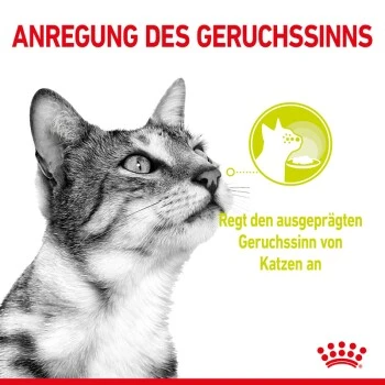 ROYAL CANIN SENSORY Smell Taste Feel Multipack In Soße 12x85g 6 ROYAL CANIN SENSORY Smell Taste Feel Multipack In Soße 12x85g – Bild 4