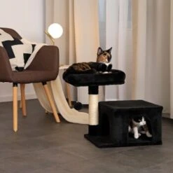 Lionto Kratzbaum 50 Cm Schwarz -Katzenartikel 7a4fdb048438d7541c9e09a10efabe693bc4320b 1657017 de DE 254b7c9c0cfdc7971bd88e8e452f13909c8f2c09Qbu3kJ