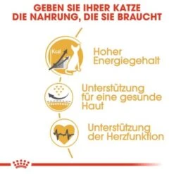 ROYAL CANIN Sphynx Adult 10 Kg -Katzenartikel 7ad1bdc3999349cafae1459c3c182b6552d5adfd b7ee4724e59d51ce320d09e32faae7a8df47303e