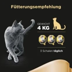 Sheba Delikatesse In Gelee 22x85g Huhn -Katzenartikel 7d0c61cee00487eaa7204e4ee0e0cb29425d4a1a 53fe67de08e8358e9fe1bb0859111ef670e81b29