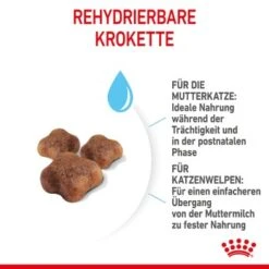 ROYAL CANIN Mother & Babycat 2 Kg -Katzenartikel 7de9161ec8af5d8e5fb59d6589cba97c3ecae1bf 3182550707329 5