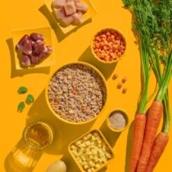 Fred & Felia FELIA 10x200g Huhn -Katzenartikel 7e93c87f3bf5a7c166224c4e2c11e0bf359859f3 1422055 de DE 62374aa99ffbad947366c1bb2c8fe35cf502571cJBPclz