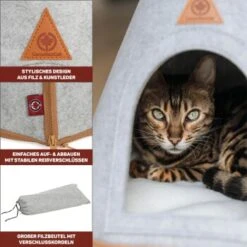 Canadian Cat Company Katzenzelt Cone -Katzenartikel 809a3c44a93f6813e3f594a392c884994f2cb8be 1394210 de DE c6578ffbb5eb34e2b0106dd76bcafeaede82606a8Hawov