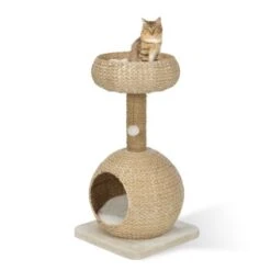 AniOne Kratzbaum Anzo -Katzenartikel 8251ae4516bf903fd0d3f9c45aa1bbabf8946a79 e7ecb07cf2644d3862a8042d79dc2f0a59c03802