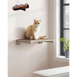 FEANDREA Clickat Katzenmöbel 3er Set, Für Die Wand -Katzenartikel 8356aeafb2b452a2c549a3424e70b7c38f5e2dfd 1681459 de DE 1105c7a4946666275cfb9f800c5111a9f1fb2d81P5coop