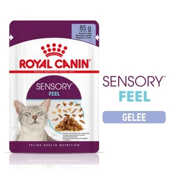 ROYAL CANIN SENSORY Feel In Gelee Für Wählerische Katzen 12x85g 3 ROYAL CANIN SENSORY Feel In Gelee Für Wählerische Katzen 12x85g