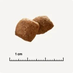 SELECT GOLD Urinary Adult Geflügel & Reis 2,5 Kg 12 SELECT GOLD Urinary Adult Geflügel & Reis 2,5 Kg -Katzenartikel 854b6f3783a732e74601afa7a935f9af2b196682 1001086022 de DE 6