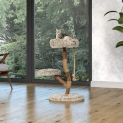 Neu eingetroffen -Katzenartikel 87f0327374e5809e6ea9f0a09dbc2d6a0f7e7402 1407289 Milieu MF K