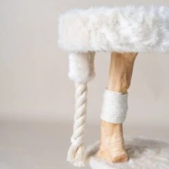 RHR Quality Kratzbaum Furry Bengal -Katzenartikel 8e4b302aa68b1aa4717ab40aed9197e0f05a717f 1670222 de DE 8c11b1d9c5757fc3a9d660f578d3a4a029bfe772GnnA51