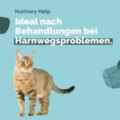 Almo Nature Almo Holistic Urinary Help 30x70g Mit Fisch -Katzenartikel 9063686471fb7b7e5b912b21ee80edd67cd85677 1479698 4 de