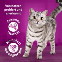 Whiskas Tasty Mix Multipack Chef's Choice In Sauce 40 X 85g -Katzenartikel 90c69f8b60998b1e42a320aa3c632d7b173d2464 1410720 de DE Whiskas 7