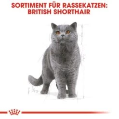 ROYAL CANIN British Shorthair Adult 2 Kg -Katzenartikel 9365d2e698cecd605cd1a65c1f6739678bb8db93 b918cdac1f0d9facd4834fa0fbe07edcafd8fe8b