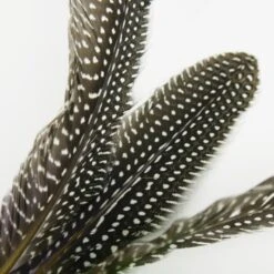 Schlitzohr Katzenangel Federanhänger 5x -Katzenartikel 93b8e0c984d323f24d455bf8e74e2dbacef5703e 1484675 de DE 7b80f213f44ebcad765dbdebc25bf2d2f0177dbd64kHU2