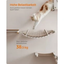 FEANDREA Clickat Katzenbrücke, Katzenregal -Katzenartikel 9473b7ae71acd9002eeb0fa708fd5d8577ab1640 1681423 de DE 430936dea23244e714a59f18f515196c2286771bkGvinn