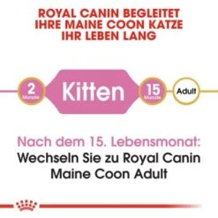 ROYAL CANIN Maine Coon Kitten 4 Kg -Katzenartikel 9494efda15798aa930f4c836c086824869519e76 d153c89f98a812830b790602e2c1dd84504c30b9