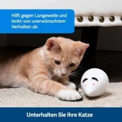PetSafe Automatisches Katzenspielzeug RoloRat -Katzenartikel 97df3eec34472f4ac76f2a0bbe4e75fdbbe02b64 1351522 de DE 83c2d308e962c4b6c64101ee39311b3a61647f71n2yR1C