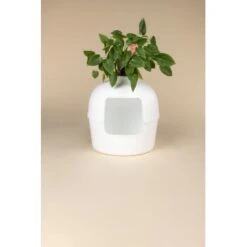 RHR Quality Katzentoilette Flower XXL -Katzenartikel 9a175089ef2e18d9c2c6261d746d3512930c312f 1641853 de DE fe53414878bfaf3647b8be741b079914a6bd2e93iOsifJ