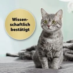 Felisept Home Comfort Set Diffusor + Flakon 45ml -Katzenartikel 9c015fbf97e9da0b9557db7ed4b82ab2943cb9e3 1667495 3